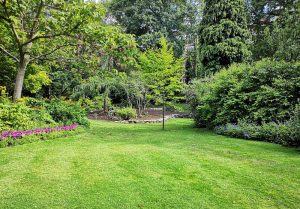 Optimiser l'expérience du jardin à Lassay-sur-Croisne